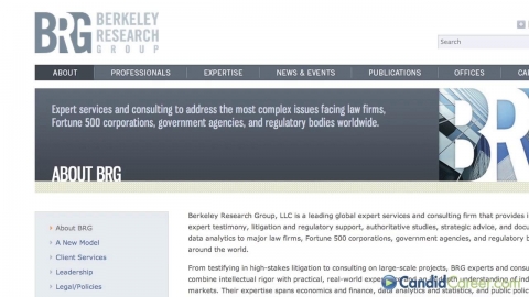 Litigation Consultant
