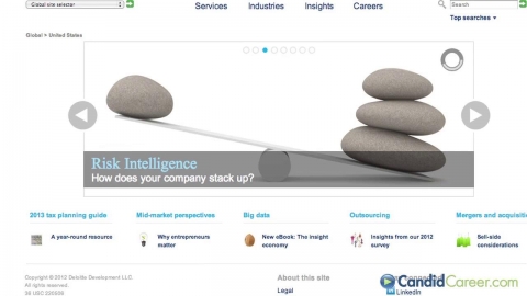 Risk Consultant