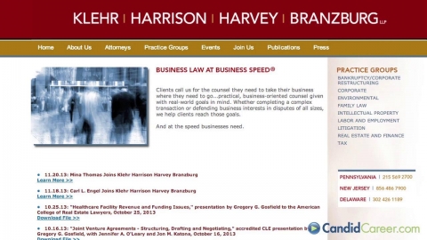 Litigation Associate