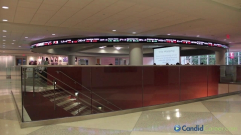 Chief Medical Officer