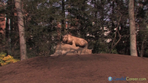 Lawfirm Pricing Director