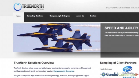 Management Consultant