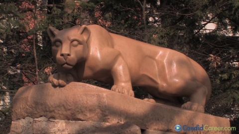 Branded Entertainment