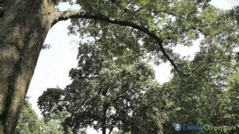 Nuclear Medicine Technologist