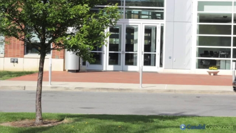 Internet Entrepreneur