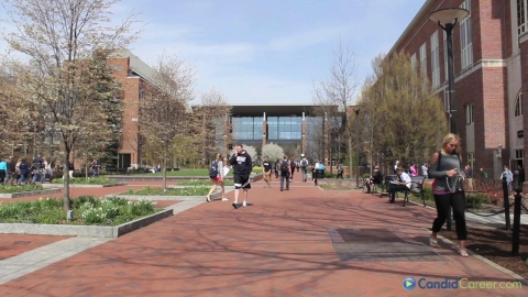 Insurance Consultant