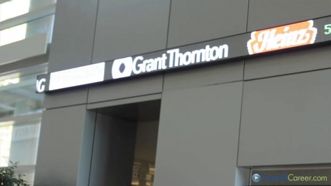 Insurance Consultant