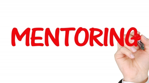 Mentorship Importance
